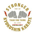 Stronger Kyokushin mintás pulóver