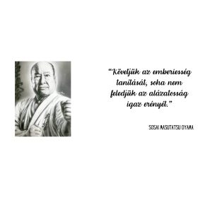 Oyama bögre 2.