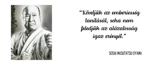 Oyama bögre 2.