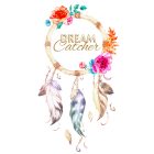 K-Pop (Dream Catcher3.)