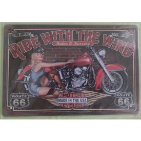 Dombornyomott fém tábla - ride